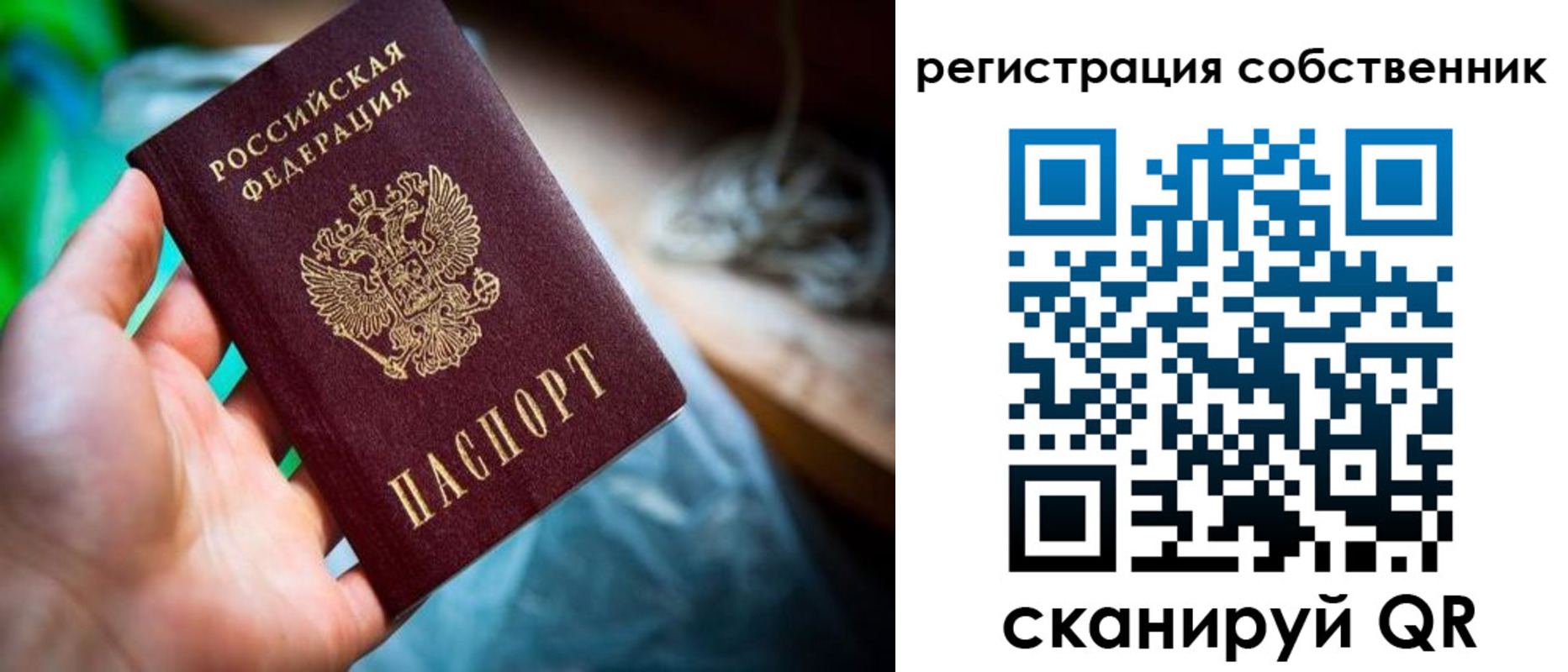 временная регистрация для школы в Бердске
